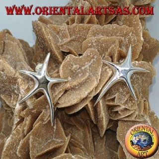 Boucles d'oreille en argent étoile de mer