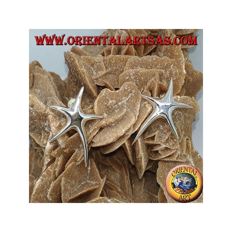 Silber Seestern Hummer Ohrringe