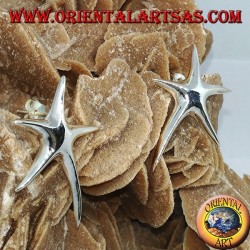Pendientes de plata con forma de estrella de mar.
