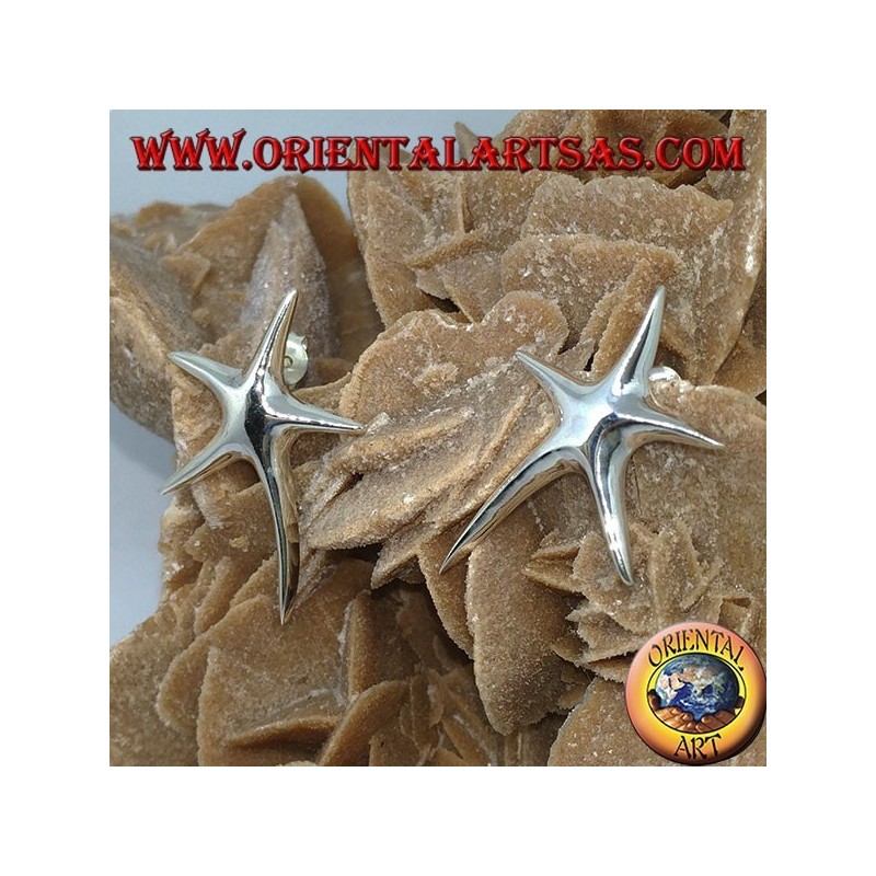 Orecchini in argento da lobo stella marina