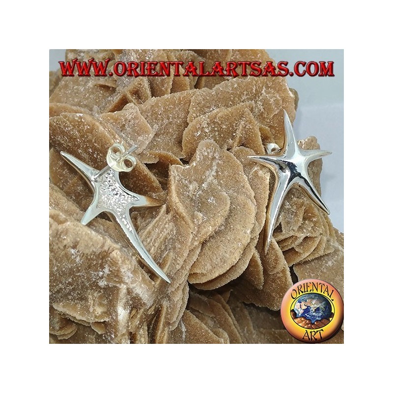 Orecchini in argento da lobo stella marina