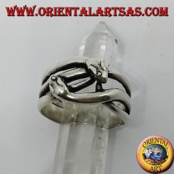 Anillo de plata con dos serpientes que son cortejadas, enamoradas.