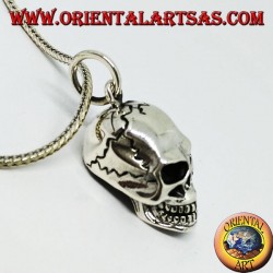 Colgante de plata con forma de calavera, homo sapiens.