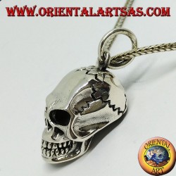 Colgante de plata con forma de calavera, homo sapiens.