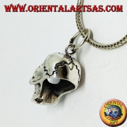 Silver pendant in the shape of a skull (homo sapiens)