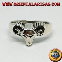 Anillo de plata con cabeza de carnero.