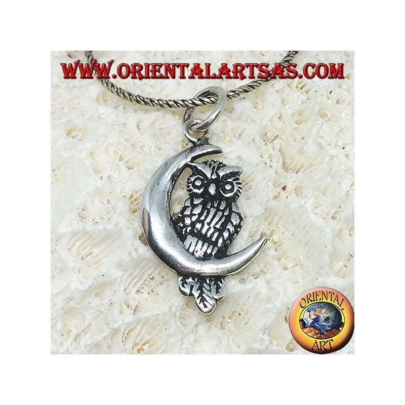 Silver pendant owl on the left half moon