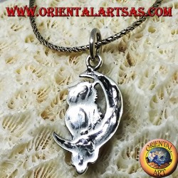 Pendentif hibou en argent sur la demi-lune gauche