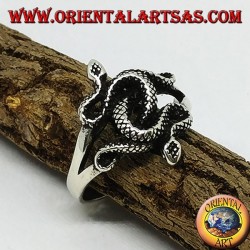 Anillo de plata con dos cobras retorcidas (medianas).