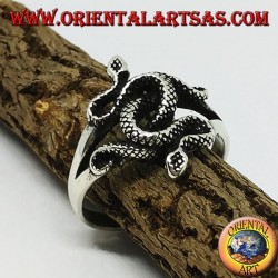 Anillo de plata con dos cobras retorcidas (medianas).