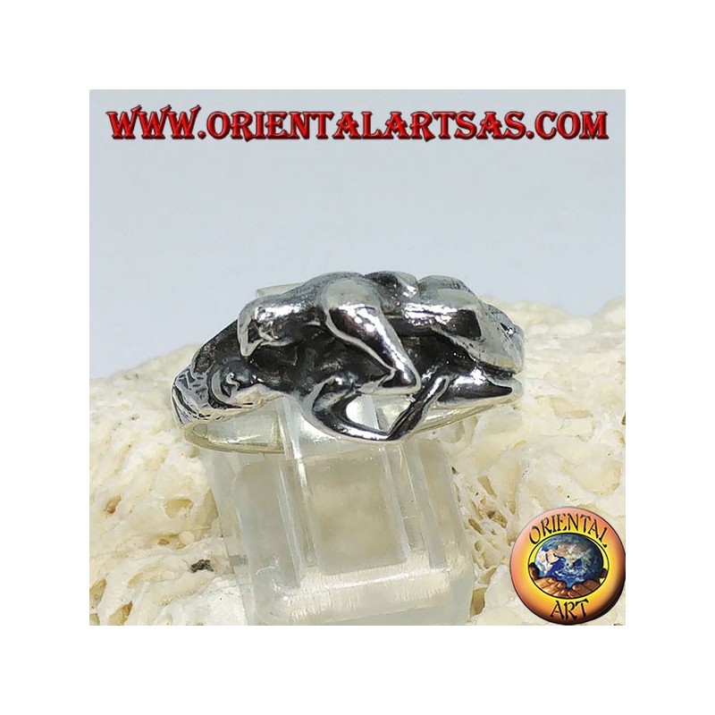 Anillo de plata, Kamasutra la posición del misionero en el lado.