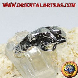 Anillo de plata, Kamasutra la posición del misionero en el lado.