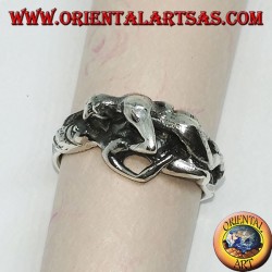 Anillo de plata, Kamasutra la posición del misionero en el lado.