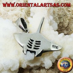 Colgante de plata manta, símbolo de elegancia y belleza del alma.