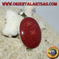 Colgante de plata con madrepora oval roja.