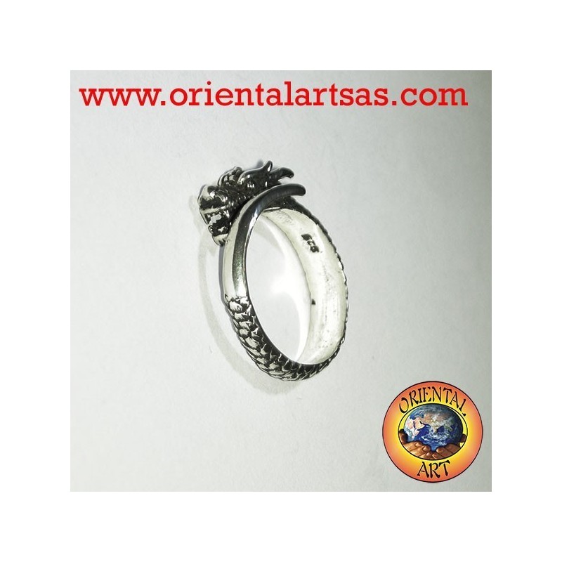 Dragón de plata anillo de espiral