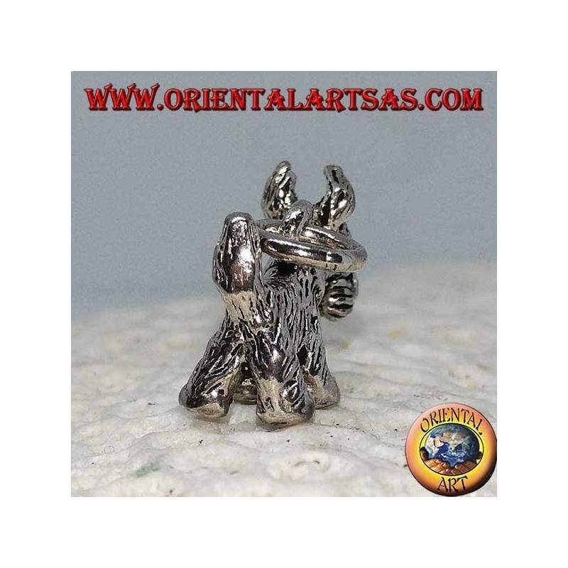 Colgante de plata del perro de raza Yorkshire Terrier