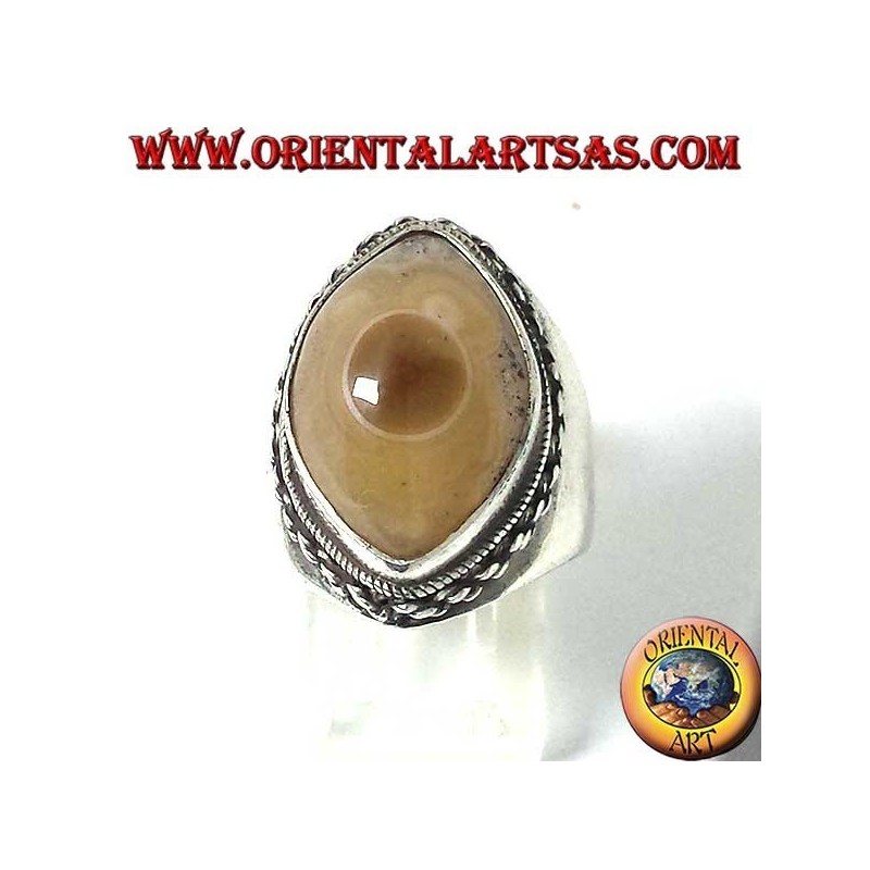 Silberring mit drittem Auge aus Shiva-Achat und Kettenrand