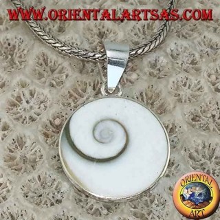 Pendant silver pendant eye of Saint Lucia shell Astraea rugosa