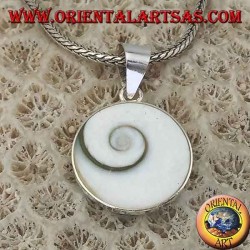 Pendant silver pendant eye of Saint Lucia shell Astraea rugosa