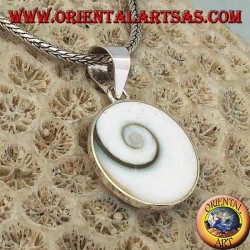 Colgante de plata colgante ojo de Santa Lucía concha Astraea rugosa