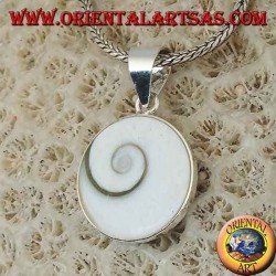 Pendant silver pendant eye of Saint Lucia shell Astraea rugosa