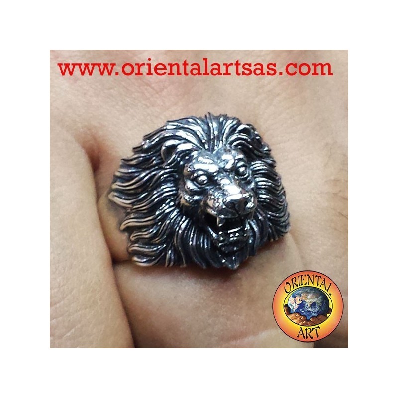 león Anillo