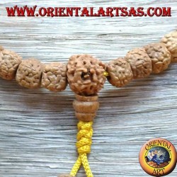 Buddhist Mālā 108 Perlen 9,5 mm Perlen. in klaren Körpersamen