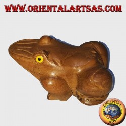 Teak wood frog with yellow eyes