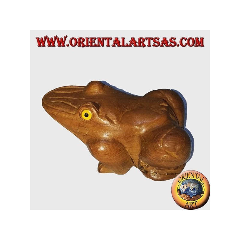 Ranocchio in legno di teak con occhi gialli