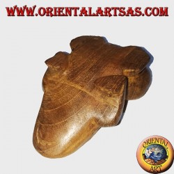 Teak wood frog with yellow eyes