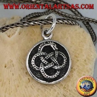 Colgante de plata, Ouroboros infinito envuelto en cuatro círculos.