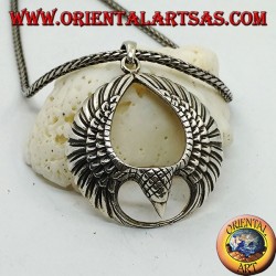 Silberanhängeradler im Flug mit offenen Flügeln im Kreis