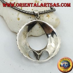 Silberanhängeradler im Flug mit offenen Flügeln im Kreis