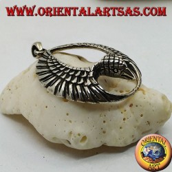 Silberanhängeradler im Flug mit offenen Flügeln im Kreis