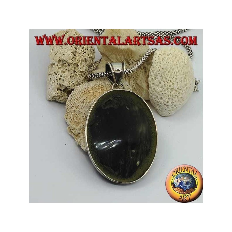 Ciondolo in argento cammeo su madreperla ovale grande (abalone)