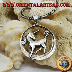 Silver unicorn pendant in the circle