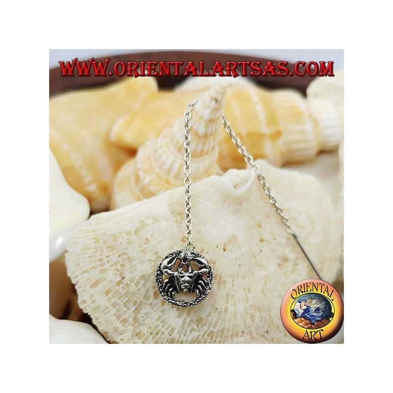 Silver chain earrings with crab in the 7 cm circle.