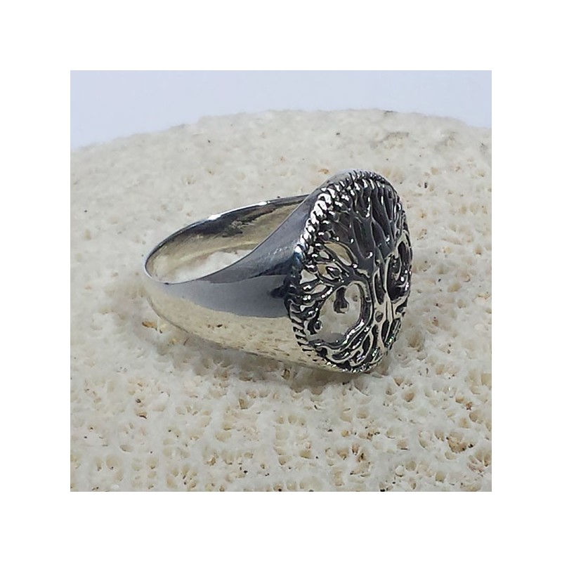 anillos de los árboles de la vida
