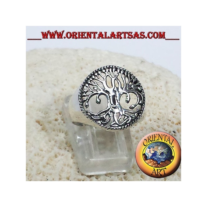 anillos de los árboles de la vida