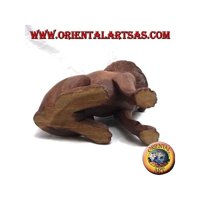 Lion sculpture seated in 30 cm Suar wood carved by hand in a single block