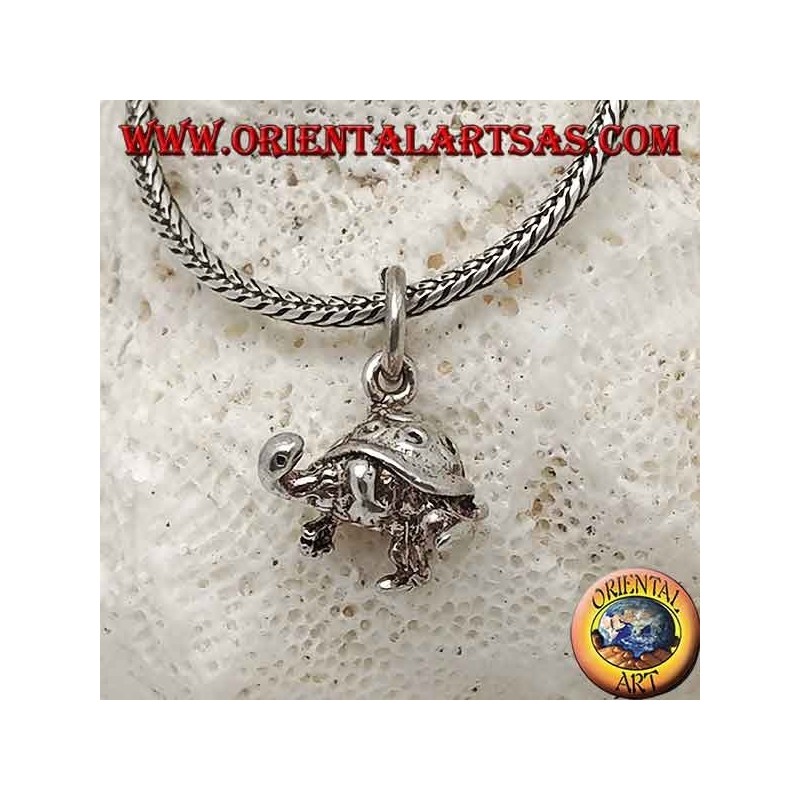 Pequeño colgante tridimensional de plata de tortuga con espirales en la concha