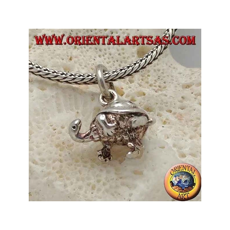 Pequeño colgante tridimensional de plata de tortuga con espirales en la concha