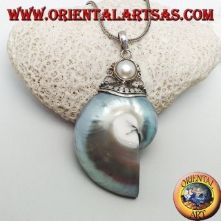 Colgante de plata Nautilus Fossil (molusco) rodeado de un gancho de plata decorado con perlas