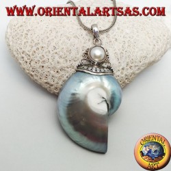 Nautilus Fossil silver pendant (mollusk) surrounded by a silver hook decorated with pearl