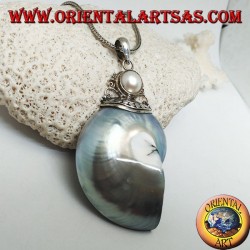 Pendentif Nautilus Fossil en argent (mollusque) entouré d'un crochet en argent orné de perles