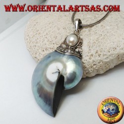 Pendentif Nautilus Fossil en argent (mollusque) entouré d'un crochet en argent orné de perles