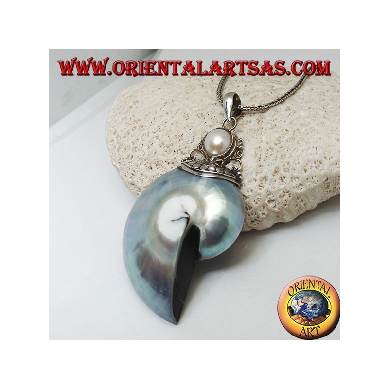 Nautilus Fossil silver pendant (mollusk) surrounded by a silver hook decorated with pearl