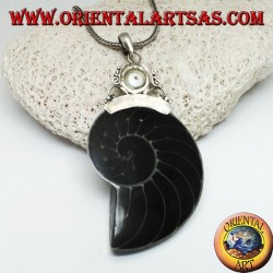 Colgante de plata Nautilus Fossil (molusco) rodeado de un gancho de plata decorado con perlas