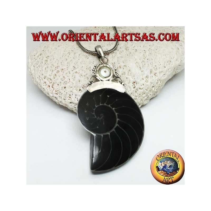 Ciondolo in argento Nautilus Fossil (mollusco) incornato da gancio in argento decorato con perla